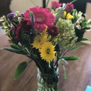 Meet your Posher, Deanne